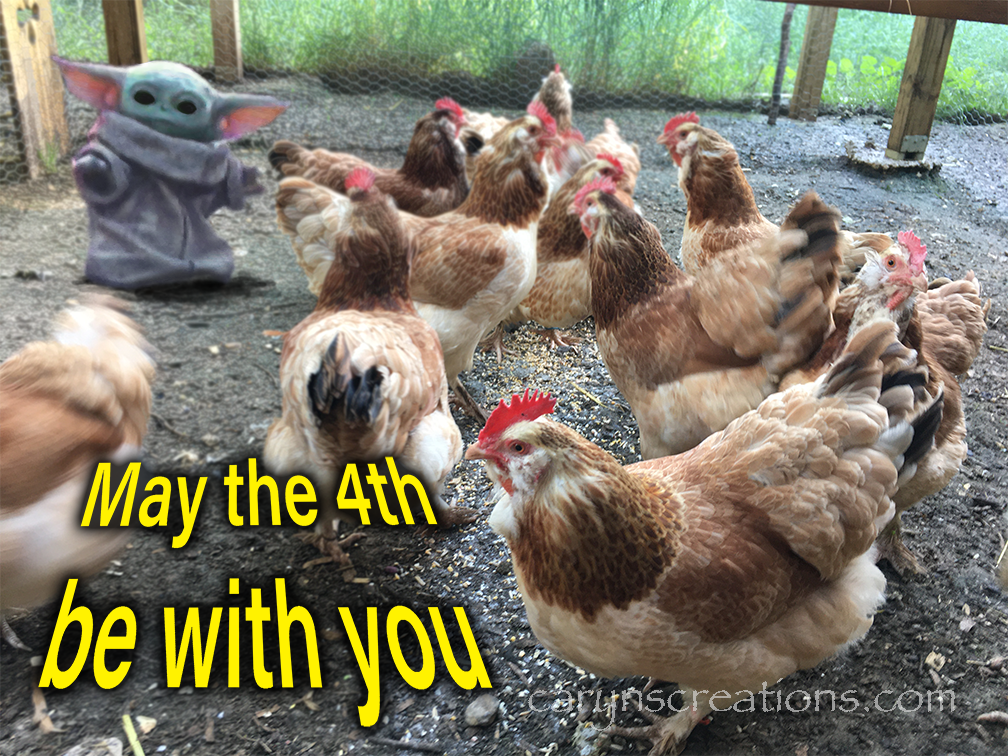 Baby Yoda takes on Faverolle chickens